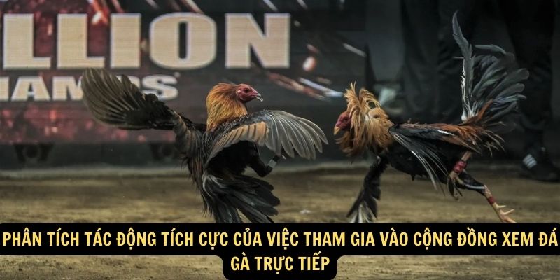 Trải Nghiệm Hồi Hộp với Trực Tiếp Đá Gà: Sân Chơi Đối Đầu Đầy Hấp Dẫn! 6 Phân tích tác động tích cực của việc tham gia vào cộng đồng xem đá gà trực tiếp