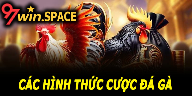Các hình thức cược đá gà 97Win