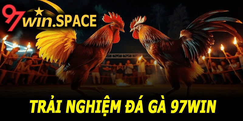 Kinh nghiệm đặt cược Đá gà 97Win